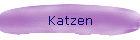 Katzen