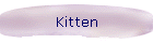 Kitten