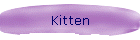 Kitten